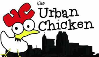 The Urban Chicken